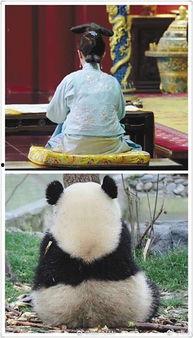 吃瓜群众争观娱乐圈,吃瓜群众围观大戏连连